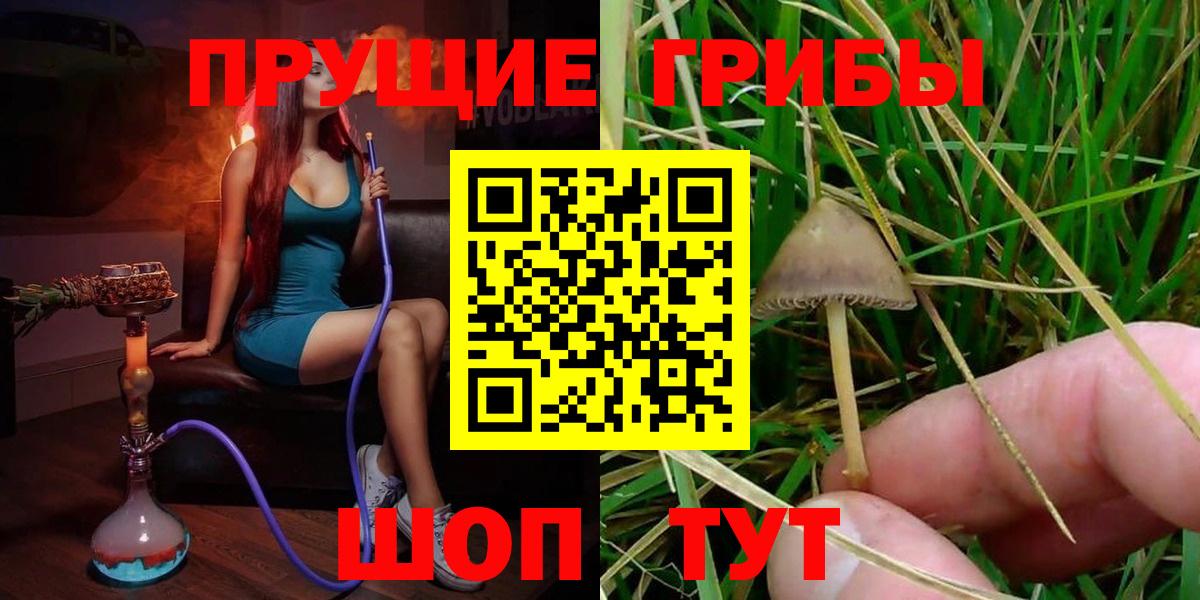 Псилоцибиновые грибы GOLDEN TEACHER Снежинск
