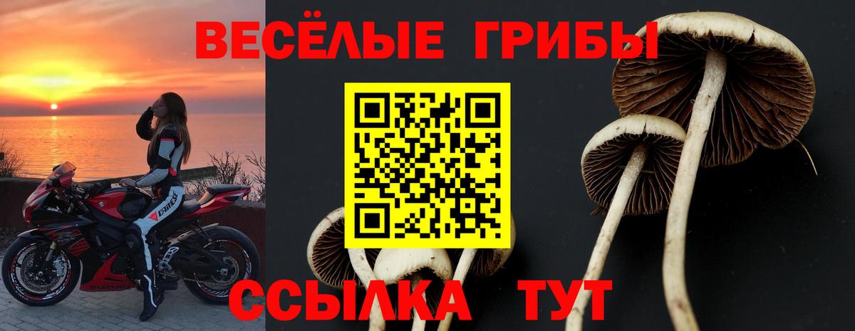 Галлюциногенные грибы мухоморы  Псилоцибиновые грибы мухоморы  что такое наркотик  Снежинск  Вход с VPN 